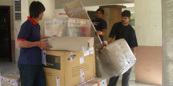 Small Business Consultancy